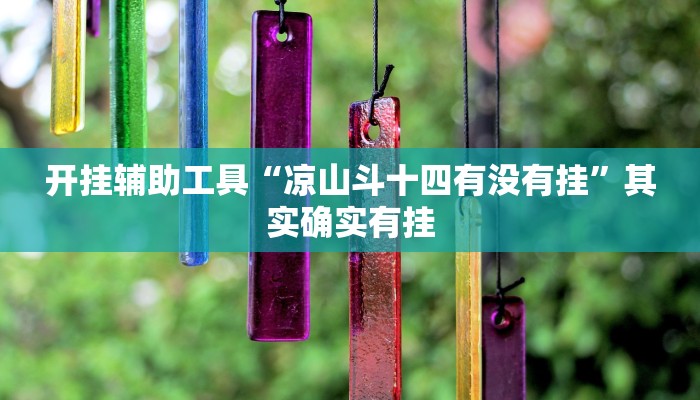 开挂辅助工具“凉山斗十四有没有挂”其实确实有挂