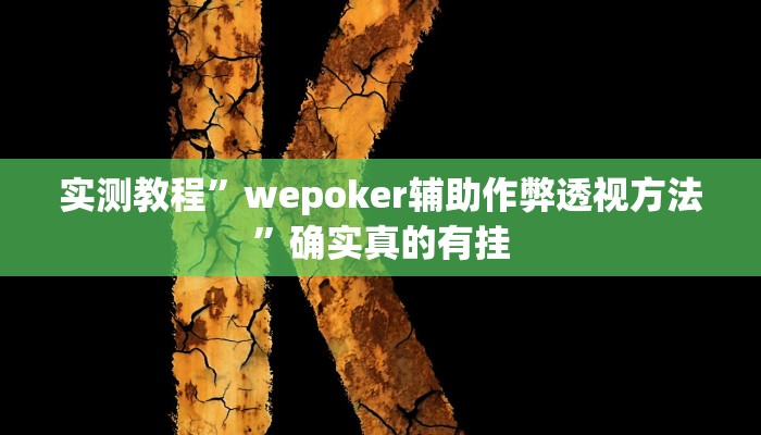 实测教程”wepoker辅助作弊透视方法”确实真的有挂