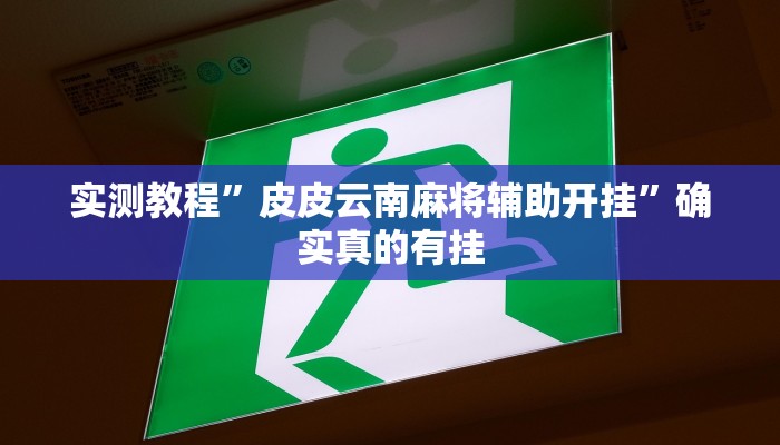 实测教程”皮皮云南麻将辅助开挂”确实真的有挂