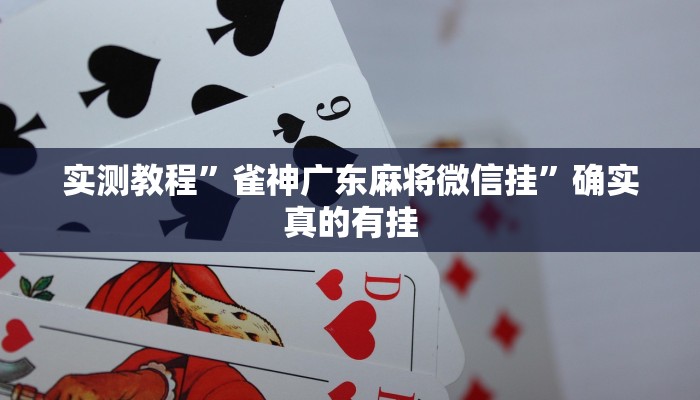 开挂辅助工具“欢乐驿站可以开挂吗”其实确实有挂