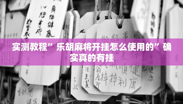 实测教程”乐胡麻将开挂怎么使用的”确实真的有挂