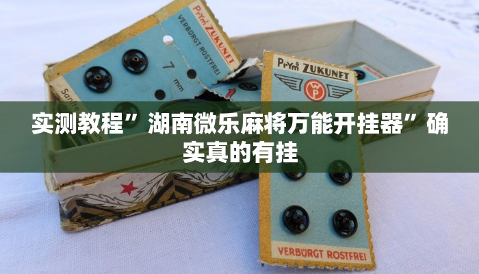 实测教程”湖南微乐麻将万能开挂器”确实真的有挂