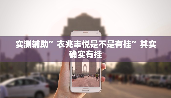 实测辅助”衣兆丰悦是不是有挂”其实确实有挂