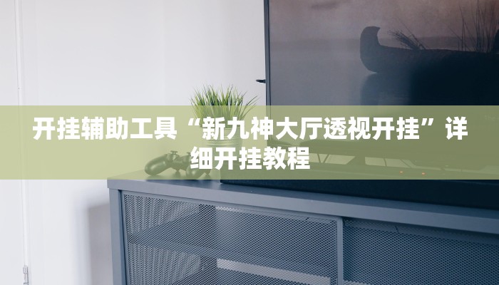 开挂辅助工具“新九神大厅透视开挂”详细开挂教程