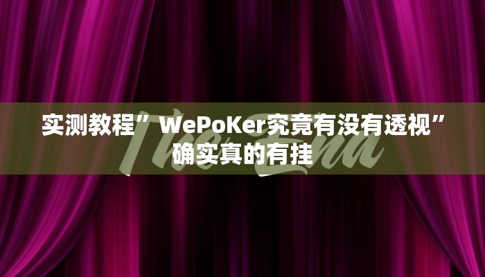 实测教程”WePoKer究竟有没有透视”确实真的有挂