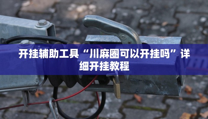 开挂辅助工具“川麻圈可以开挂吗”详细开挂教程