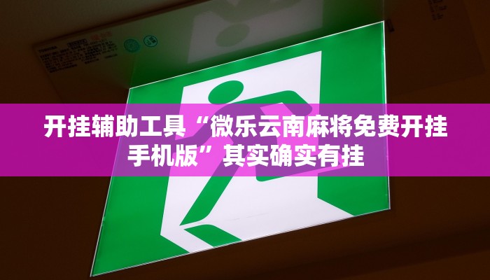 开挂辅助工具“微乐云南麻将免费开挂手机版”其实确实有挂
