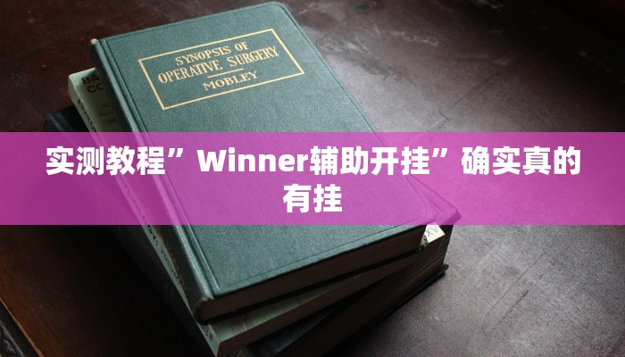 实测教程”Winner辅助开挂”确实真的有挂