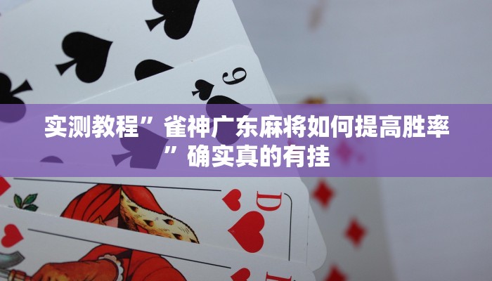 实测教程”雀神广东麻将如何提高胜率”确实真的有挂
