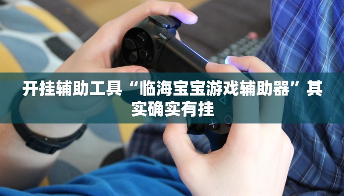 开挂辅助工具“临海宝宝游戏辅助器”其实确实有挂
