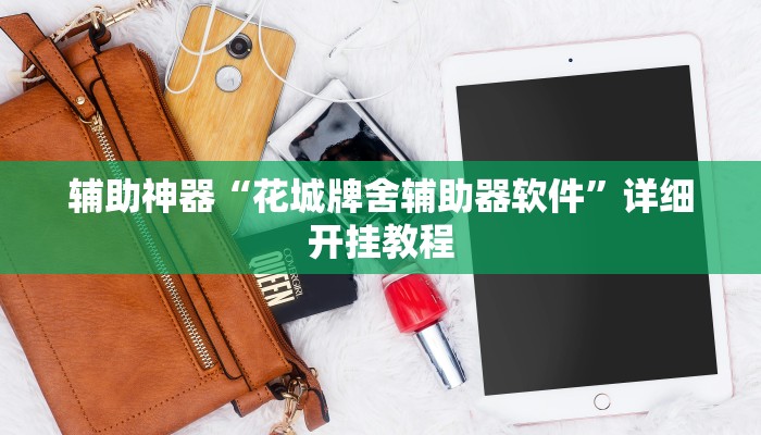 辅助神器“花城牌舍辅助器软件”详细开挂教程