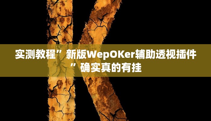 实测教程”新版WepOKer辅助透视插件”确实真的有挂