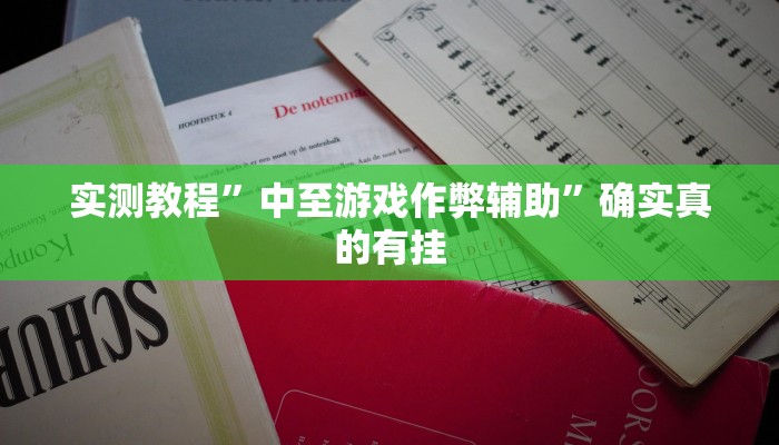 实测教程”中至游戏作弊辅助”确实真的有挂