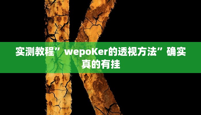 实测教程”wepoKer的透视方法”确实真的有挂