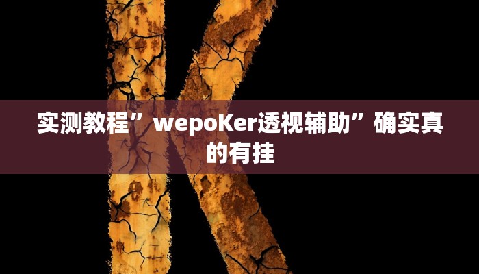 实测教程”wepoKer透视辅助”确实真的有挂