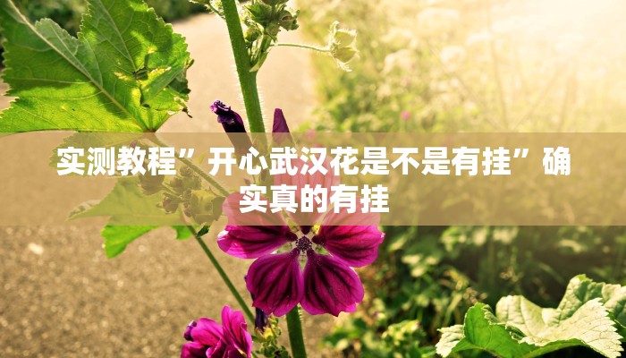 实测教程”开心武汉花是不是有挂”确实真的有挂