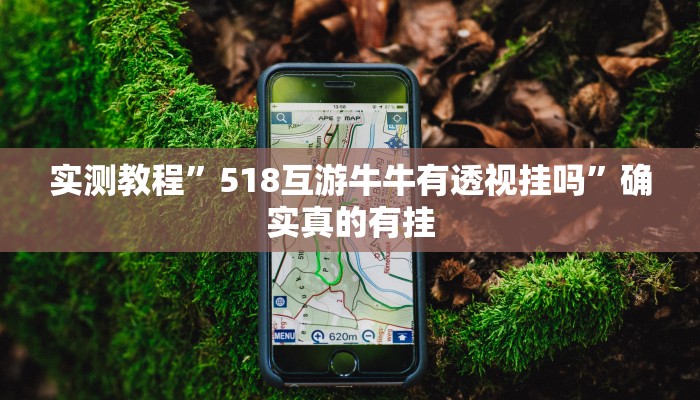 实测教程”518互游牛牛有透视挂吗”确实真的有挂