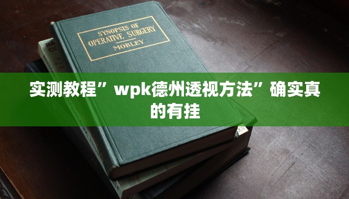 实测教程”wpk德州透视方法”确实真的有挂
