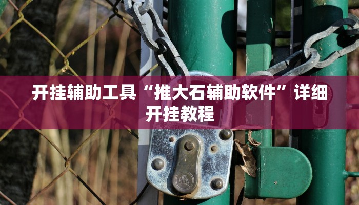 开挂辅助工具“推大石辅助软件”详细开挂教程