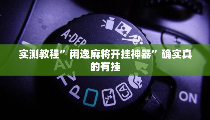 实测教程”闲逸麻将开挂神器”确实真的有挂