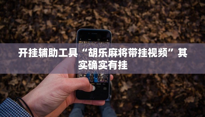 开挂辅助工具“胡乐麻将带挂视频”其实确实有挂