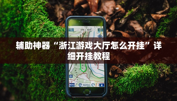 辅助神器“浙江游戏大厅怎么开挂”详细开挂教程