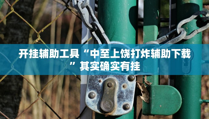 开挂辅助工具“中至上饶打炸辅助下载”其实确实有挂