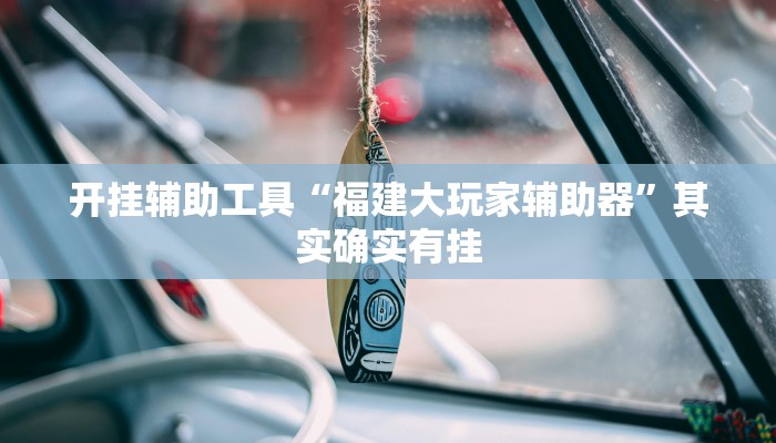 开挂辅助工具“福建大玩家辅助器”其实确实有挂