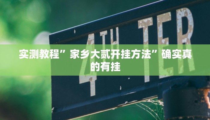 实测教程”家乡大贰开挂方法”确实真的有挂