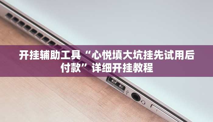 开挂辅助工具“心悦填大坑挂先试用后付款”详细开挂教程