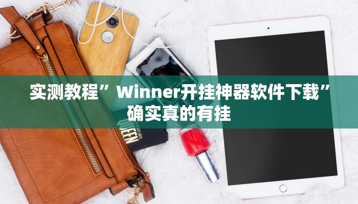 实测教程”Winner开挂神器软件下载”确实真的有挂