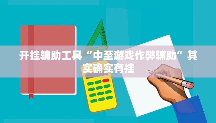 开挂辅助工具“中至游戏作弊辅助”其实确实有挂