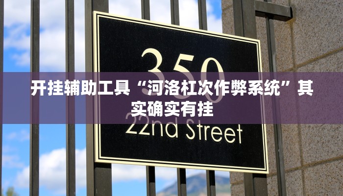 开挂辅助工具“河洛杠次作弊系统”其实确实有挂