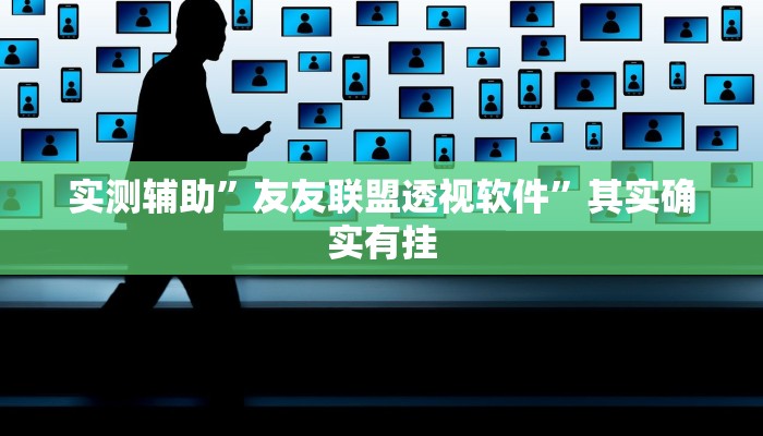 实测辅助”友友联盟透视软件”其实确实有挂