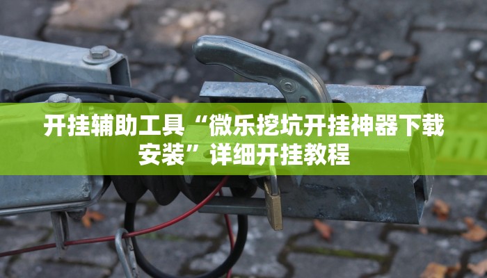 开挂辅助工具“微乐挖坑开挂神器下载安装”详细开挂教程