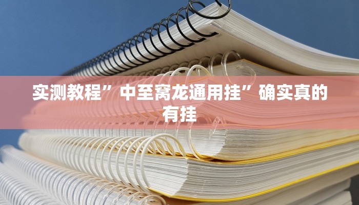 实测教程”中至窝龙通用挂”确实真的有挂