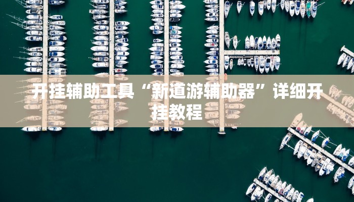 开挂辅助工具“新道游辅助器”详细开挂教程