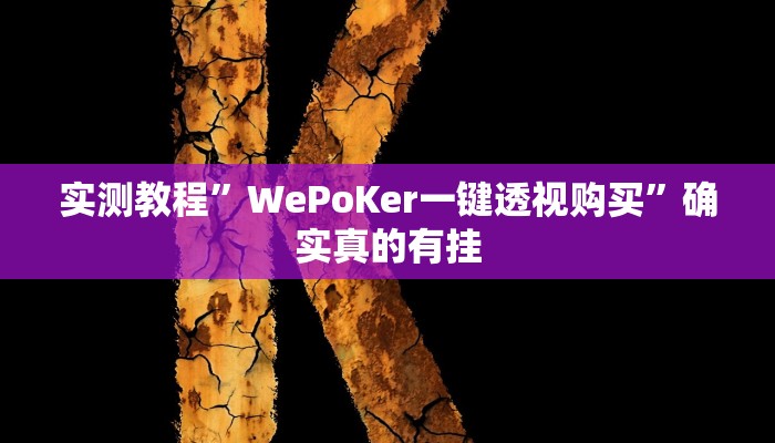 实测教程”WePoKer一键透视购买”确实真的有挂