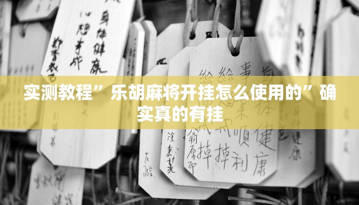 实测教程”乐胡麻将开挂怎么使用的”确实真的有挂