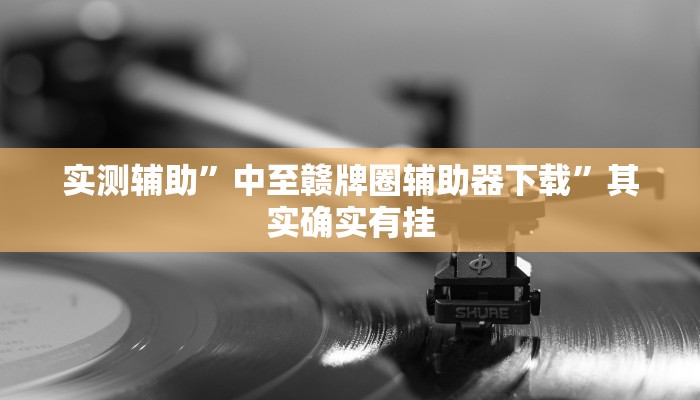 实测辅助”中至赣牌圈辅助器下载”其实确实有挂