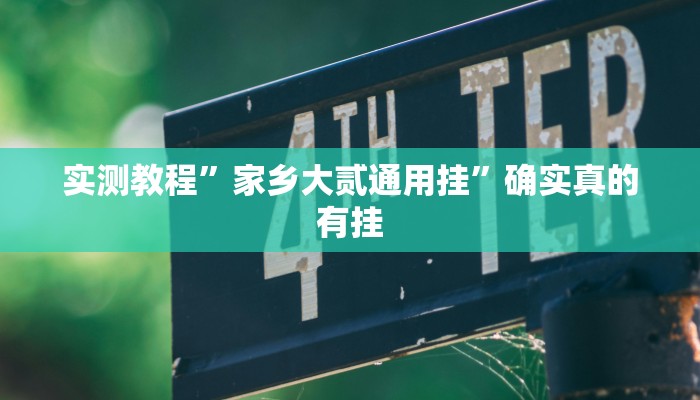 实测教程”家乡大贰通用挂”确实真的有挂