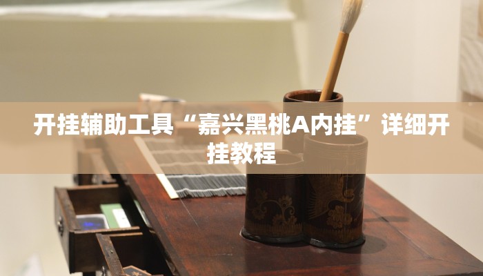 开挂辅助工具“嘉兴黑桃A内挂”详细开挂教程