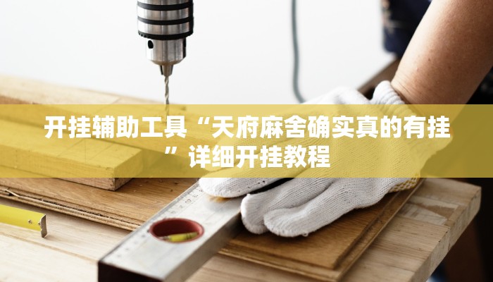 开挂辅助工具“天府麻舍确实真的有挂”详细开挂教程