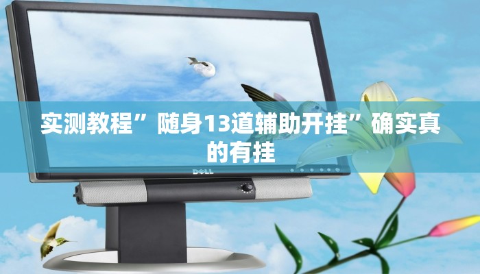 实测教程”随身13道辅助开挂”确实真的有挂