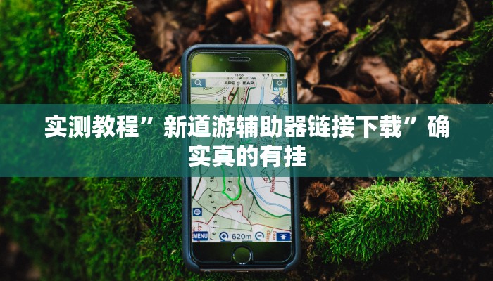 实测教程”新道游辅助器链接下载”确实真的有挂