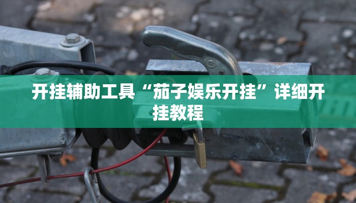 开挂辅助工具“茄子娱乐开挂”详细开挂教程