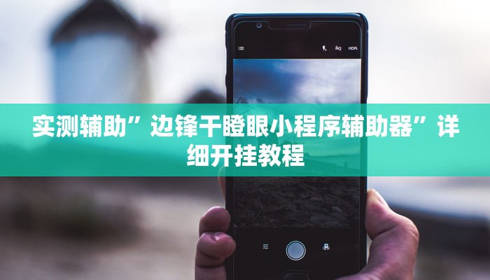 实测辅助”边锋干瞪眼小程序辅助器”详细开挂教程