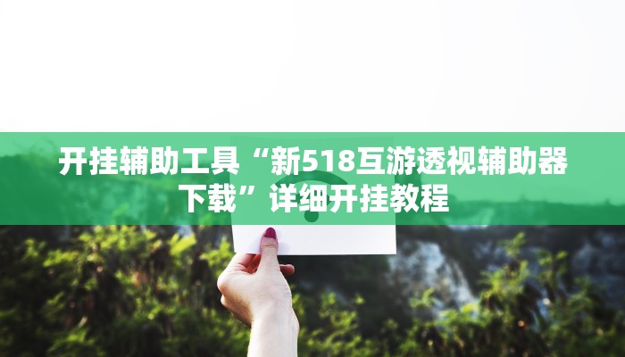 开挂辅助工具“新518互游透视辅助器下载”详细开挂教程