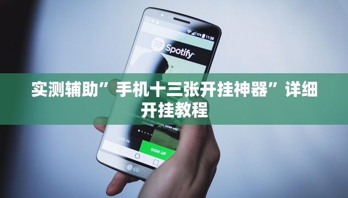 实测辅助”手机十三张开挂神器”详细开挂教程