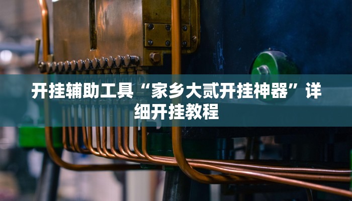 开挂辅助工具“家乡大贰开挂神器”详细开挂教程